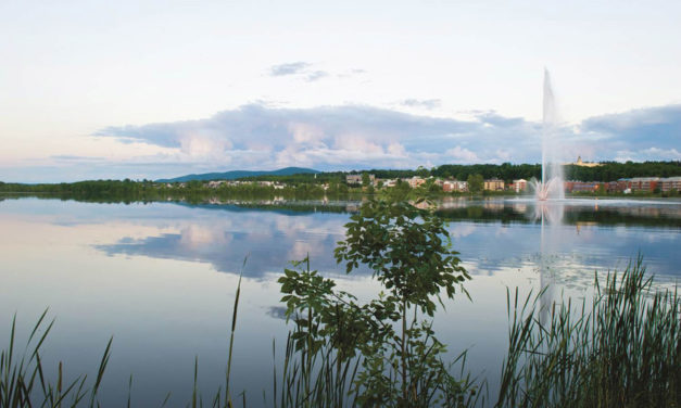 Plan d’action pour l’avenir du lac Boivin