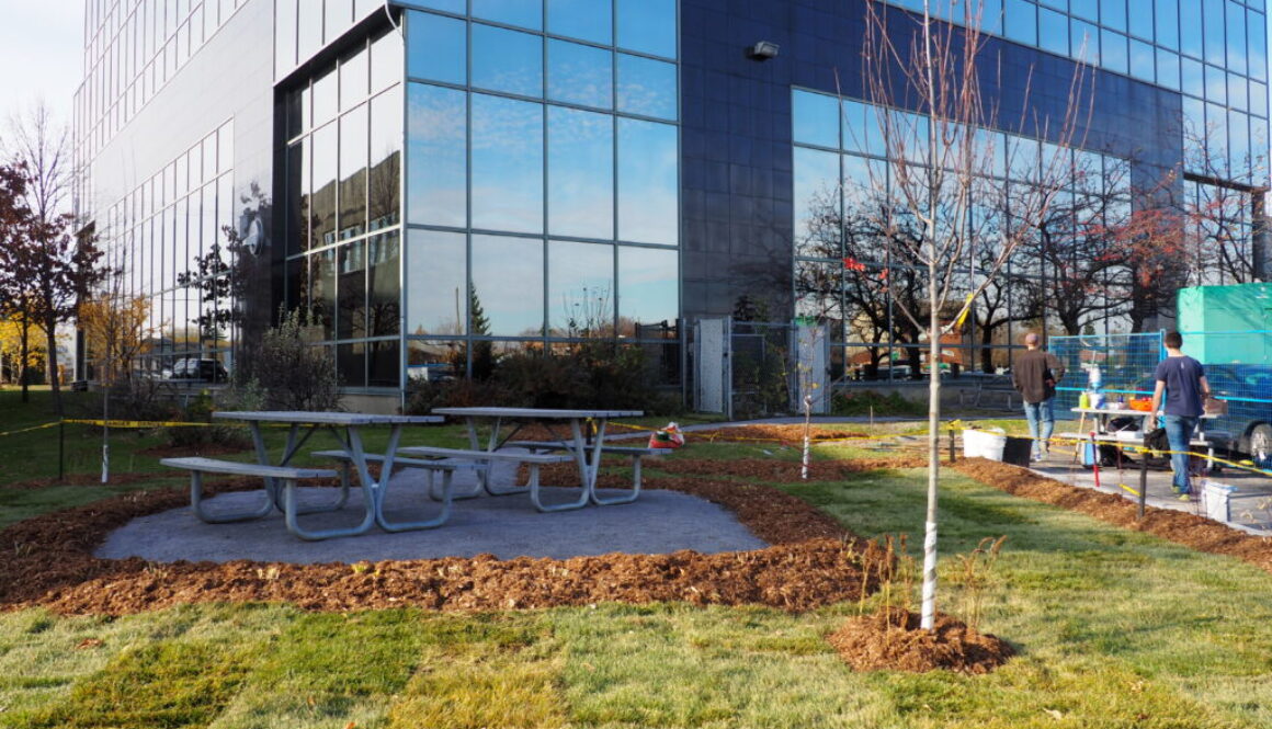 Projet Sous les pavés