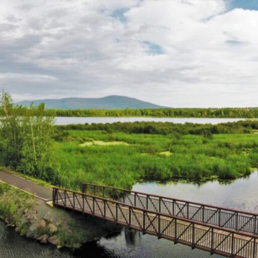 Passerelle sur le Lac Boivin (Samuel Freli)