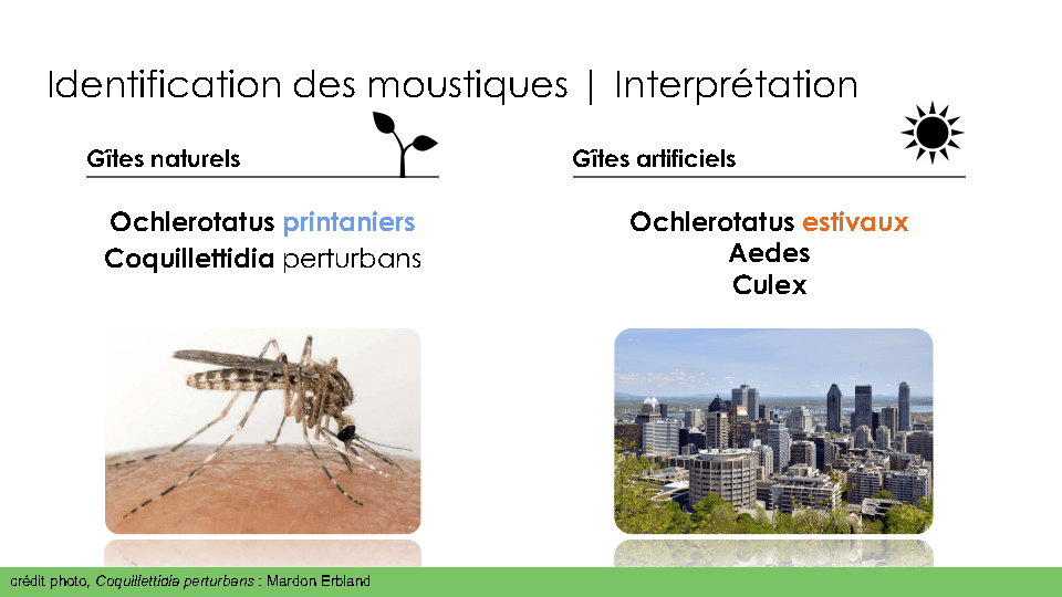 Schema-repartition