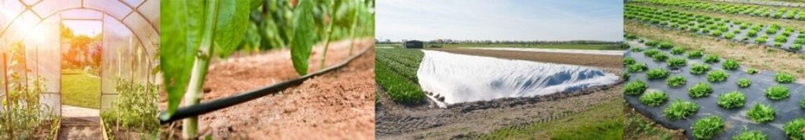 Concertation Concertation