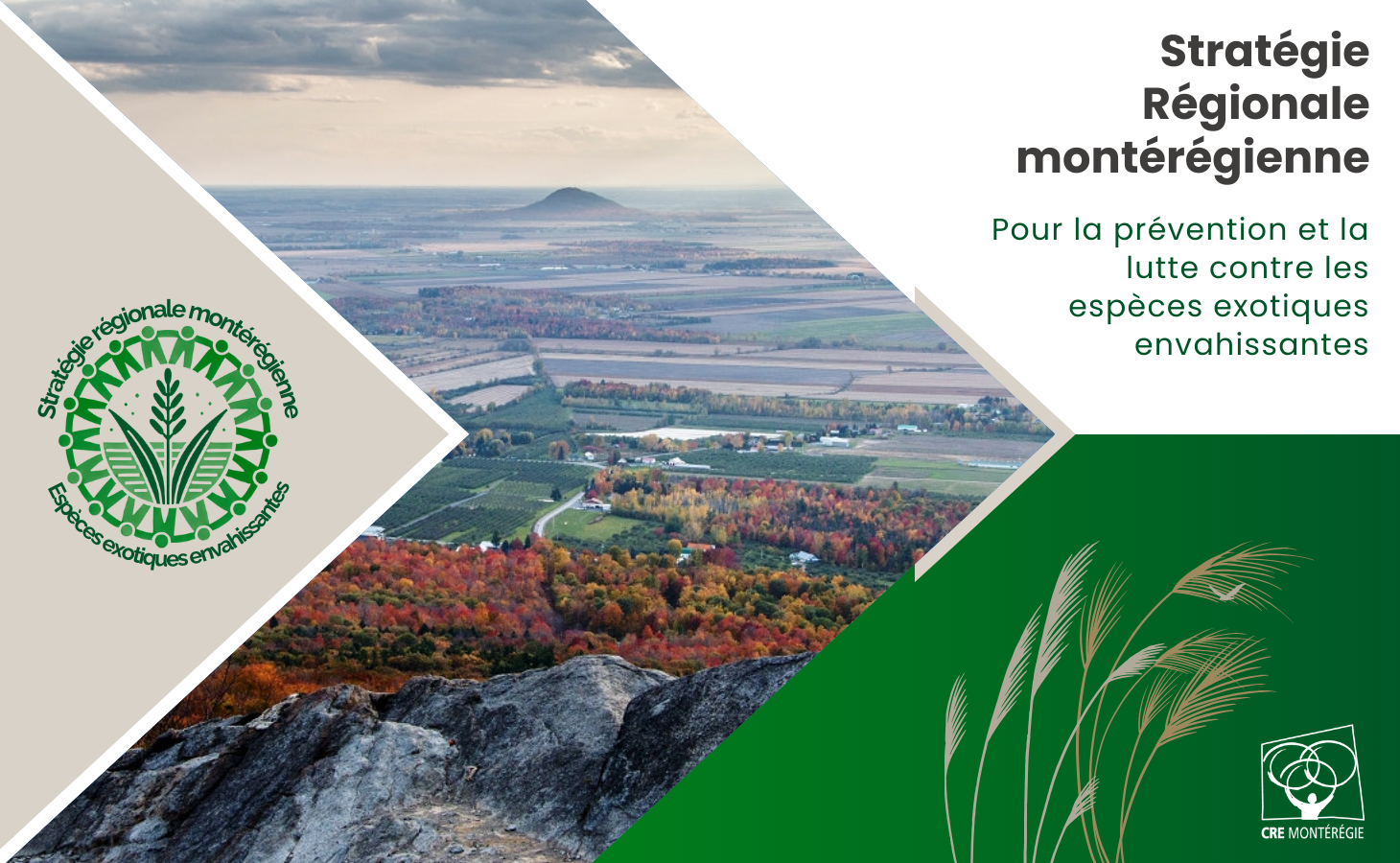 Strategie EEE Strategie EEE